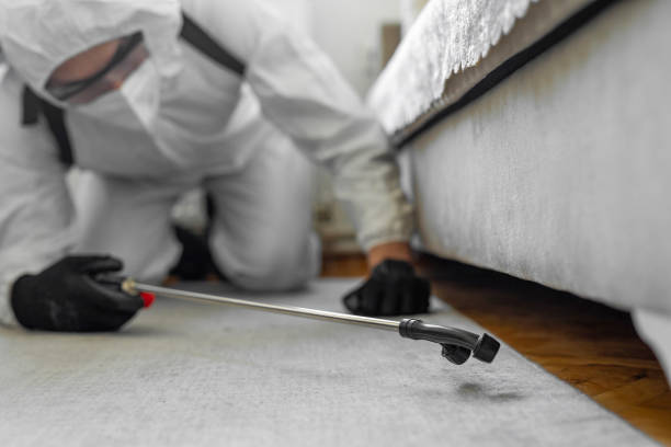 Professional Bed Bug Control technician working in Blue Island, IL
