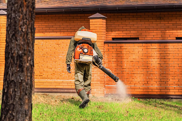 Trusted Rodent Control service in Blue Island, IL - Nex Pest Control